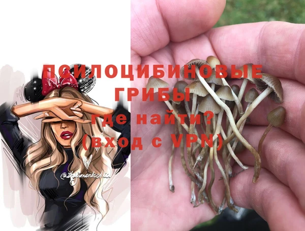 эйфоретик Медногорск