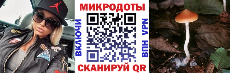 где продают наркотики  Пустошка  Галлюциногенные грибы мухоморы 