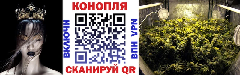 дарнет шоп  Пустошка  Бошки марихуана марихуана 